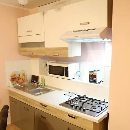 Luxury Apartment